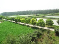 企業(yè)環(huán)境